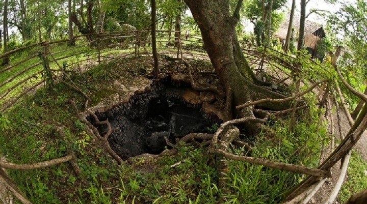 Monfort Bat Sanctuary