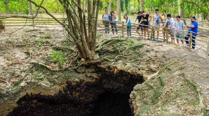 Monfort Bat Sanctuary