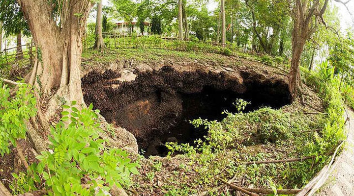 Monfort Bat Sanctuary