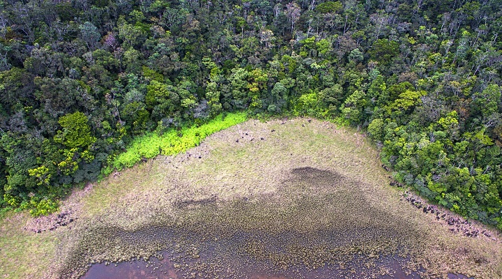 Mount Hamiguitan Range Wildlife Sanctuary