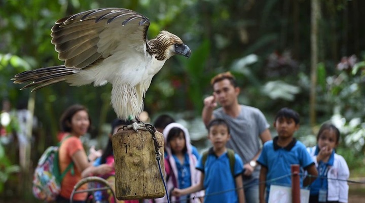 Philippine Eagle Center