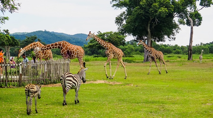 Calauit Island National Park