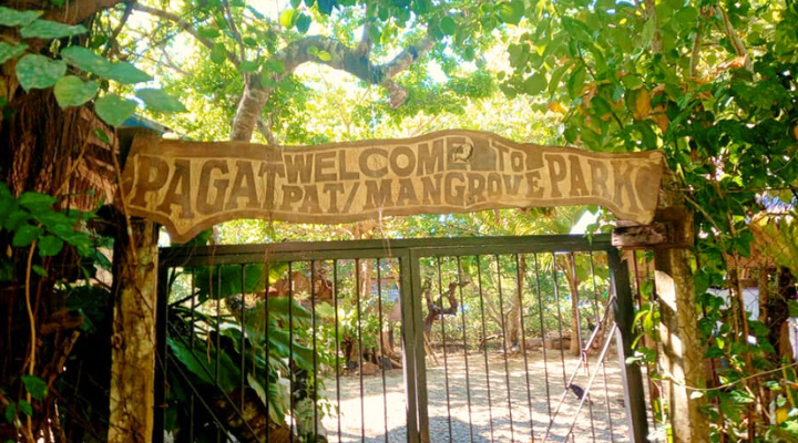Pagatpat Mangrove Park (8) Pagatpat Mangrove Park